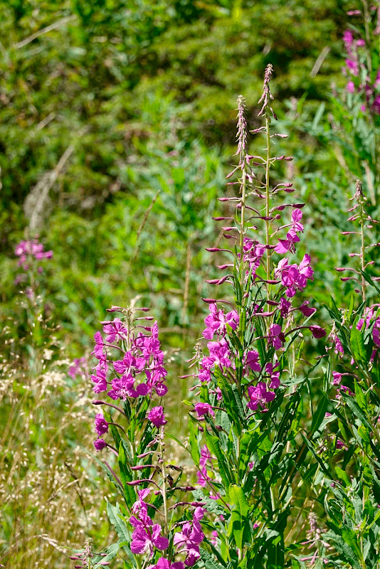 notre tour de la botte italienne 196
