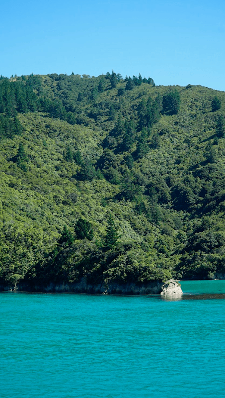 mon voyage en nouvelle zelande 63