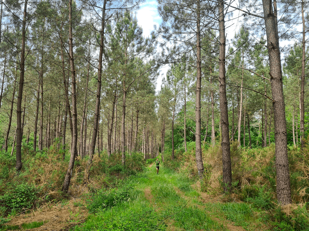 my year in sport 2022 33