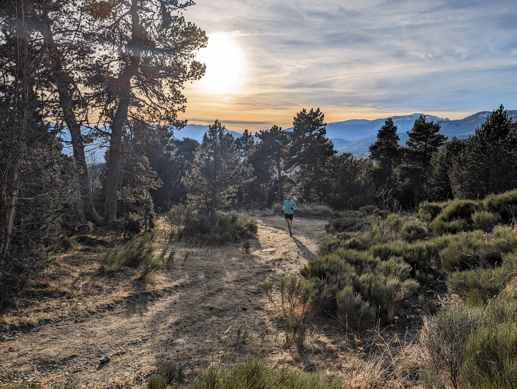 mon annee sportive 2024 19