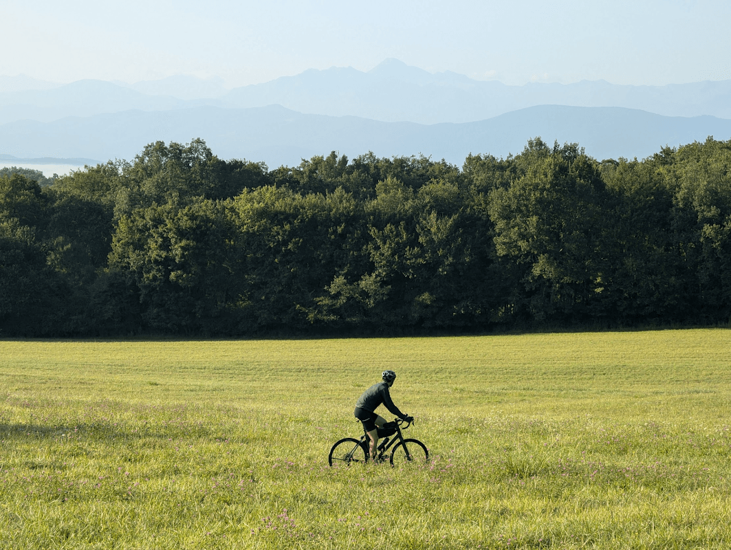 mon annee sportive 2024 98