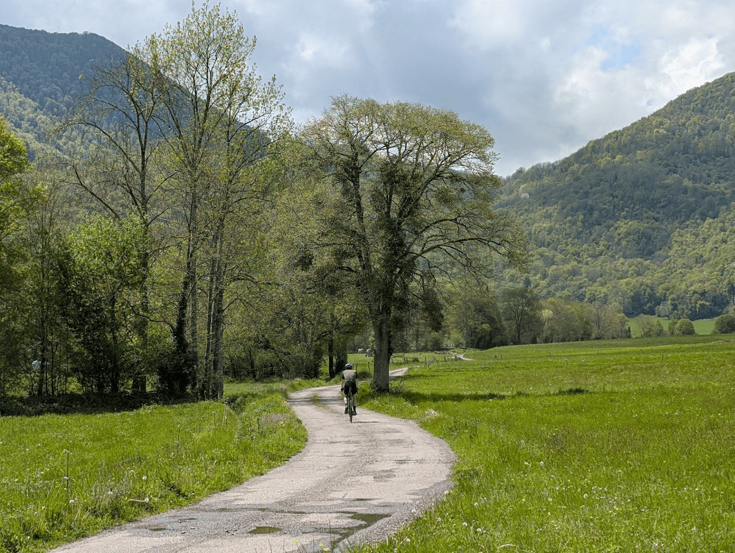 mon annee sportive 2025 37