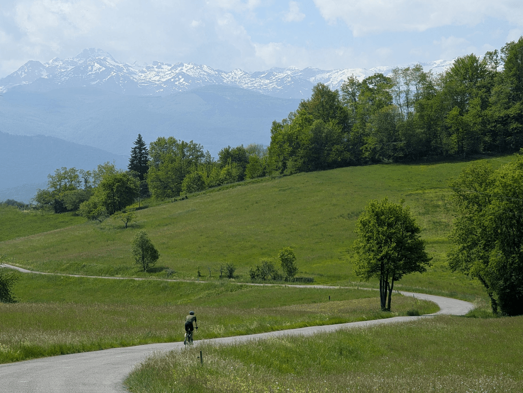 mon annee sportive 2025 42