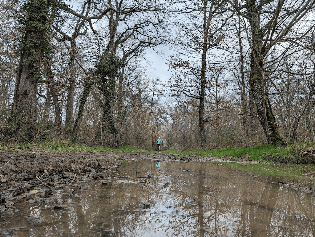 mon annee sportive 2024 29