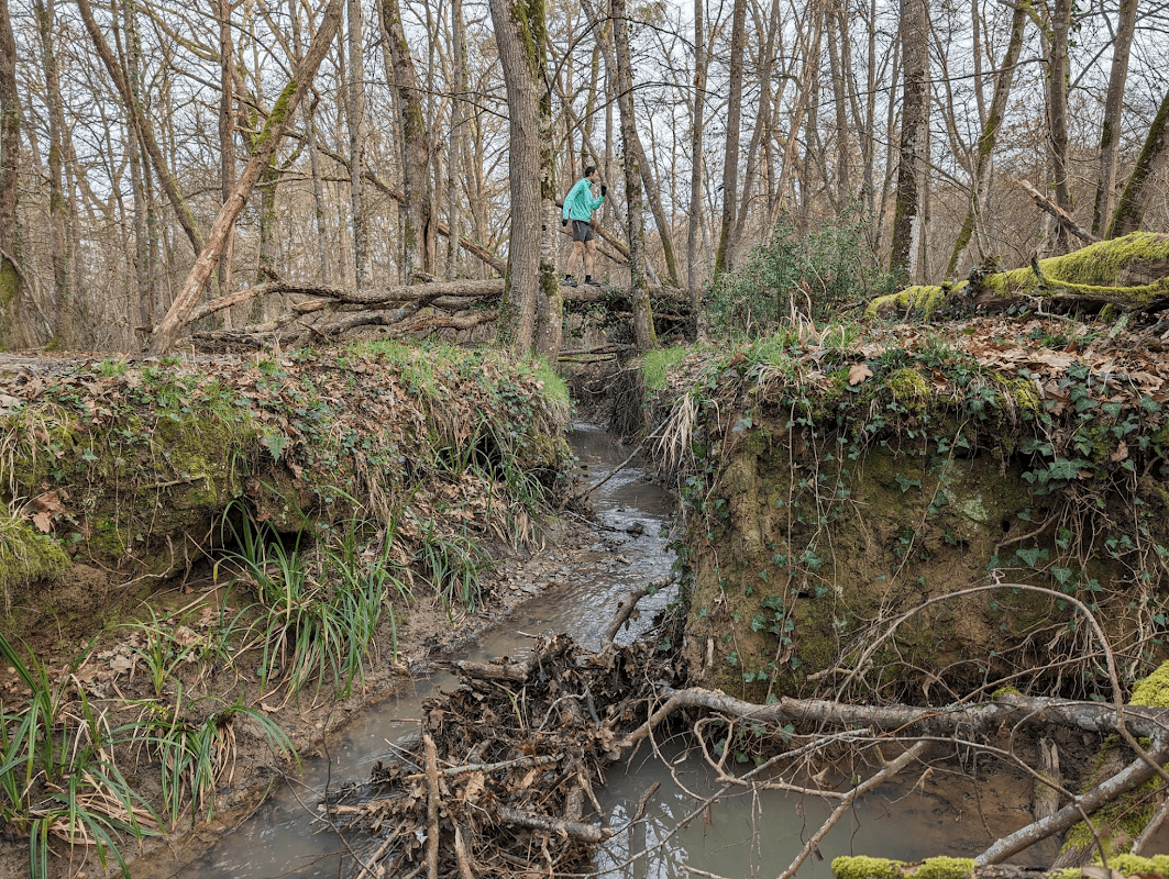 mon annee sportive 2024 26