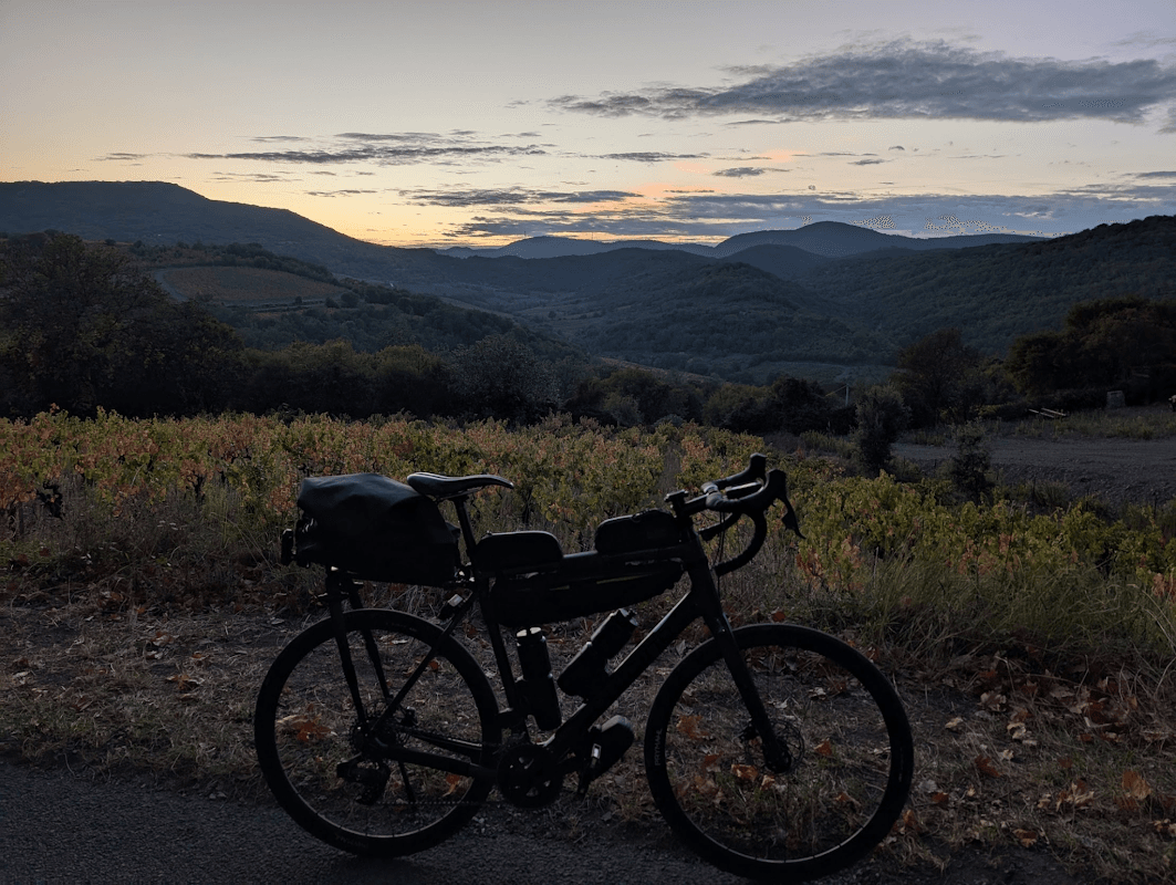 mon annee sportive 2024 115