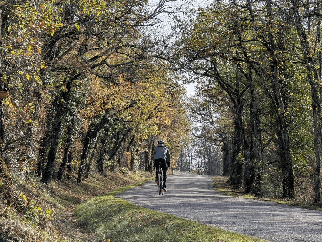 mon annee sportive 2025 92