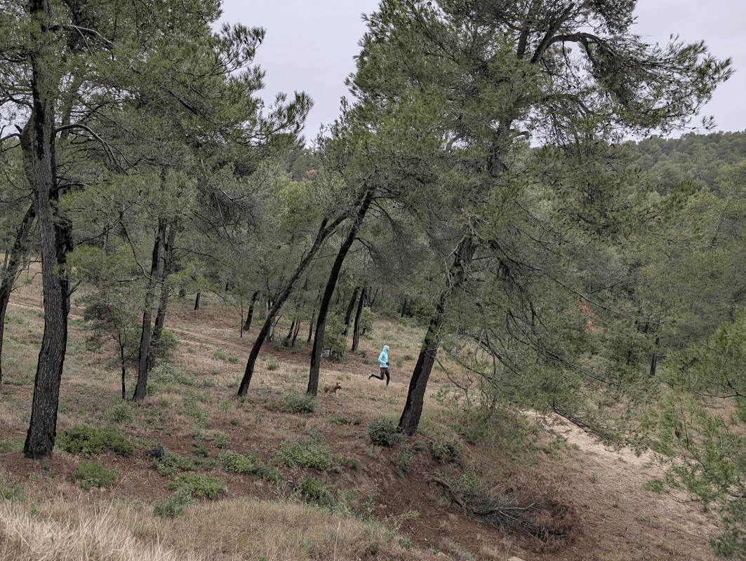 mon annee sportive 2025 98