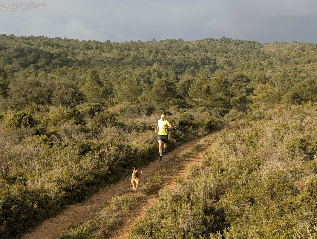 mon annee sportive 2025 9