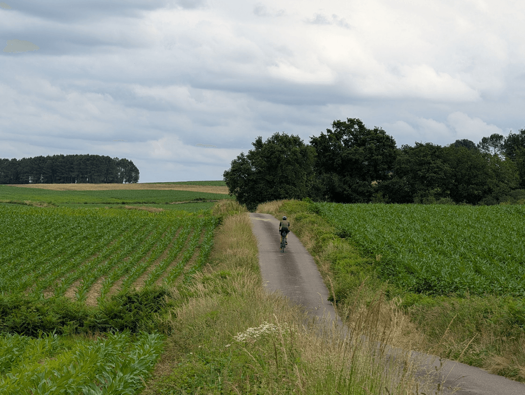 mon annee sportive 2025 51