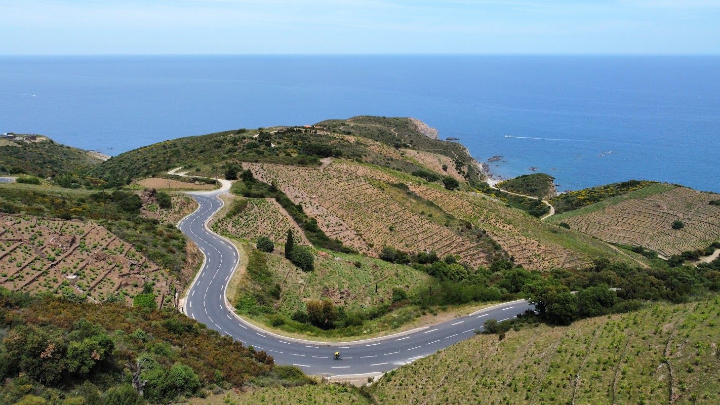 cerbere