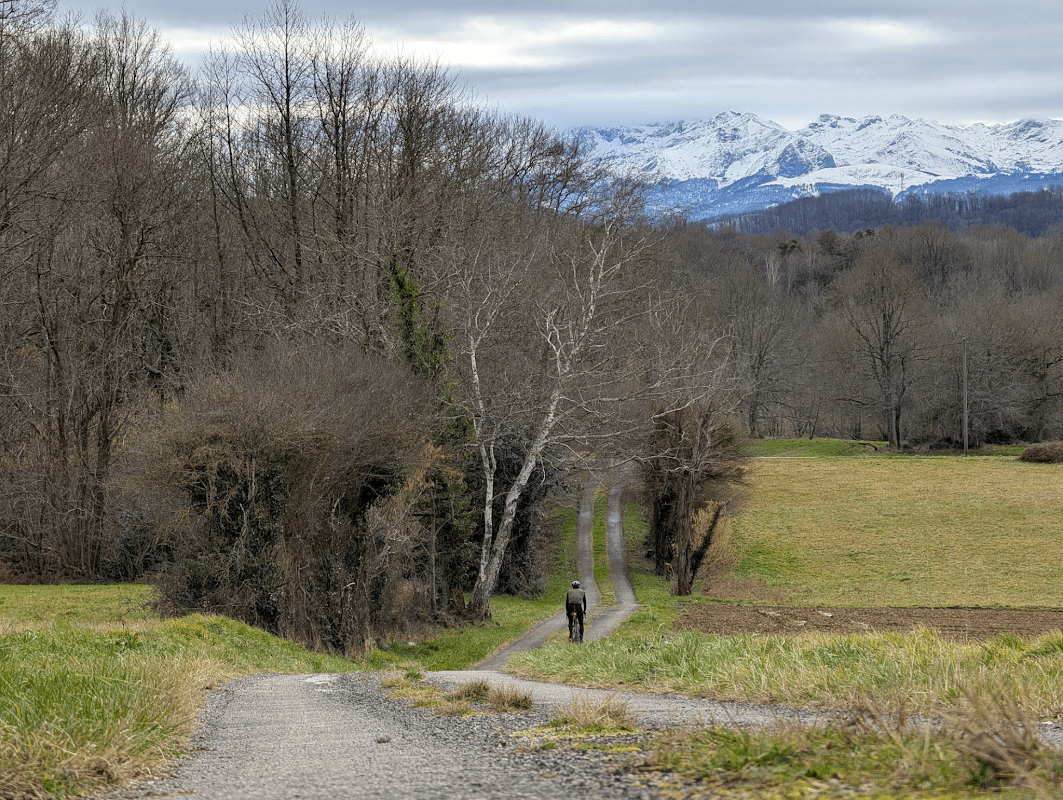 mon annee sportive 2025 12