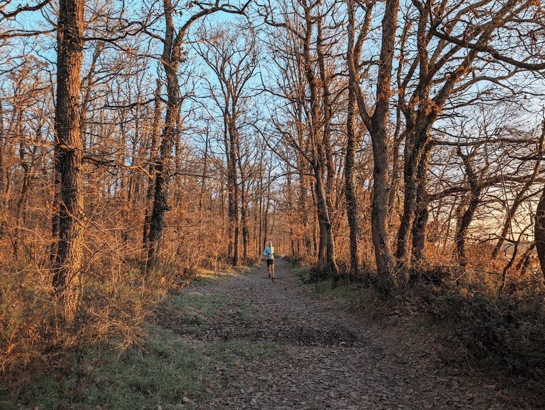 mon annee sportive 2024 6