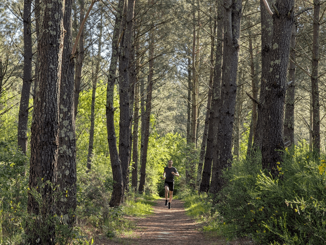 mon annee sportive 2025 45