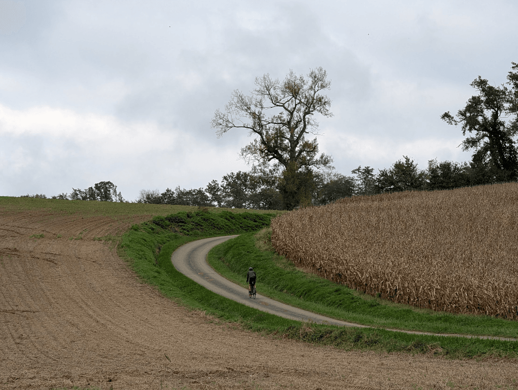 mon annee sportive 2024 136