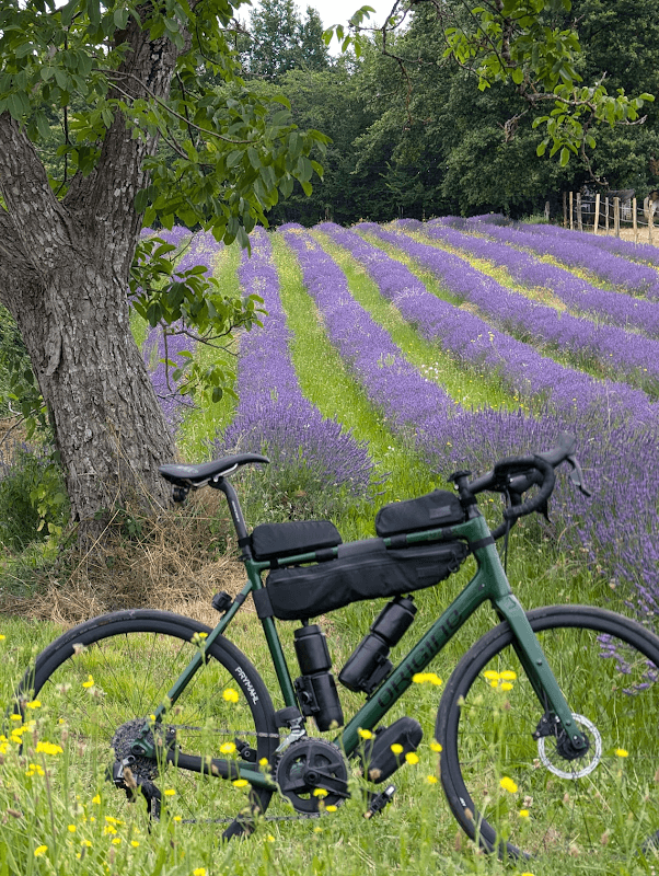 mon annee sportive 2024 74