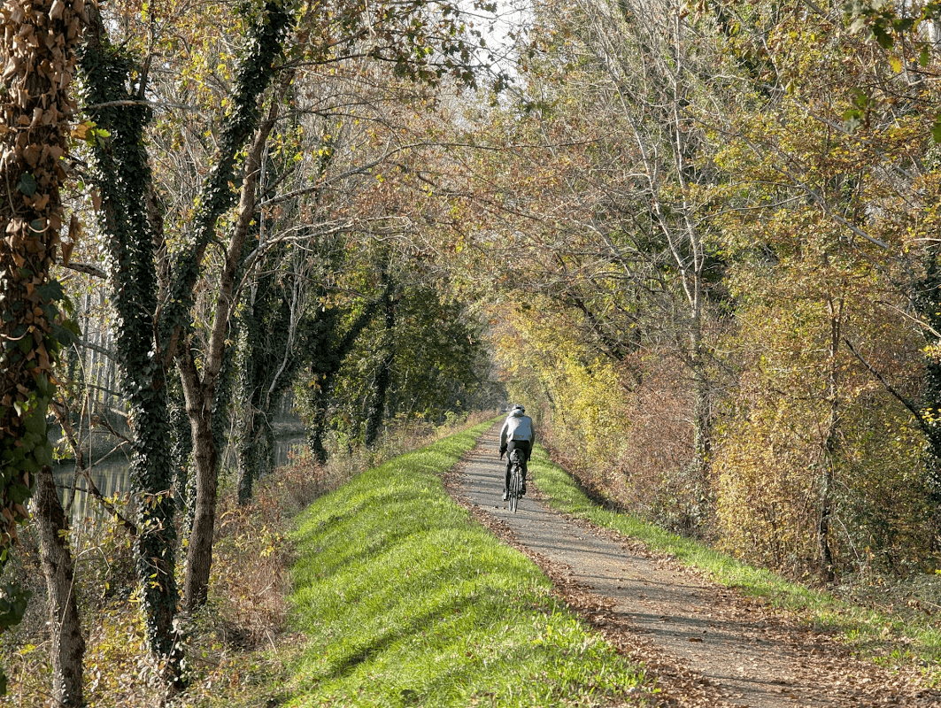 mon annee sportive 2025 90