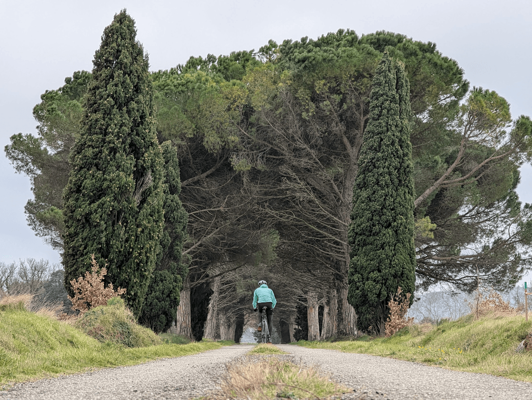 mon annee sportive 2025 20