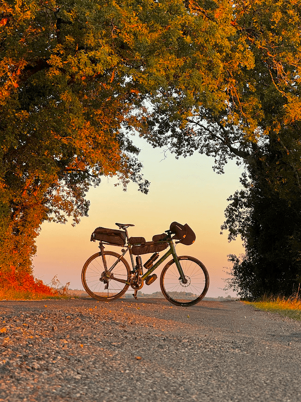 my year in sport 2023 112