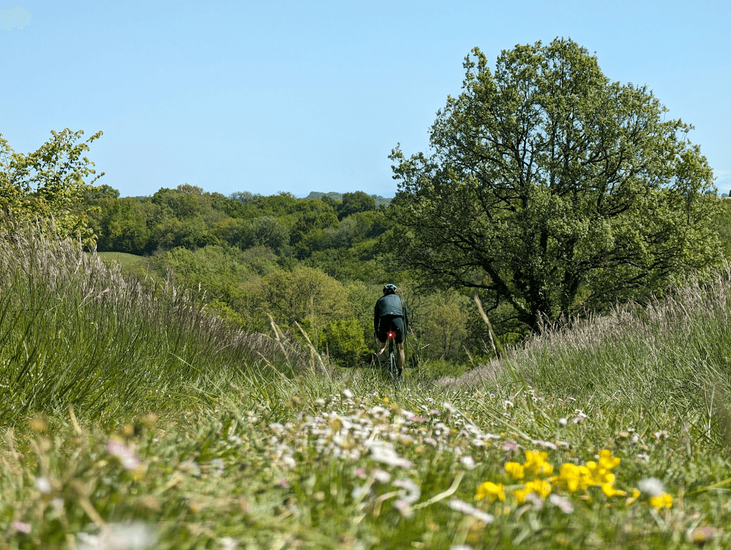 mon annee sportive 2024 51
