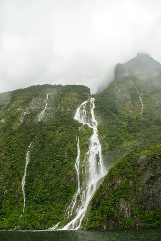 mon voyage en nouvelle zelande 116