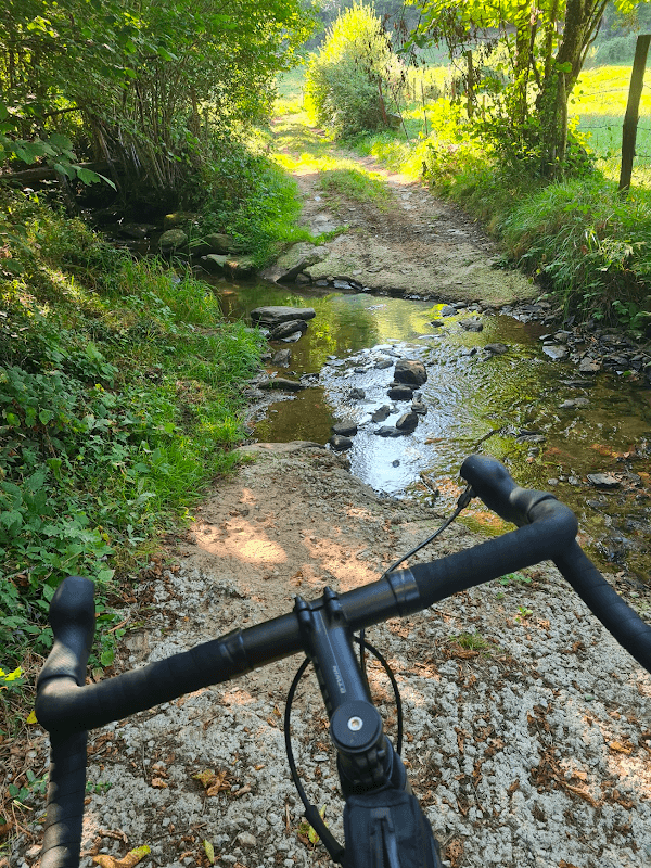 mon annee sportive 2023 88