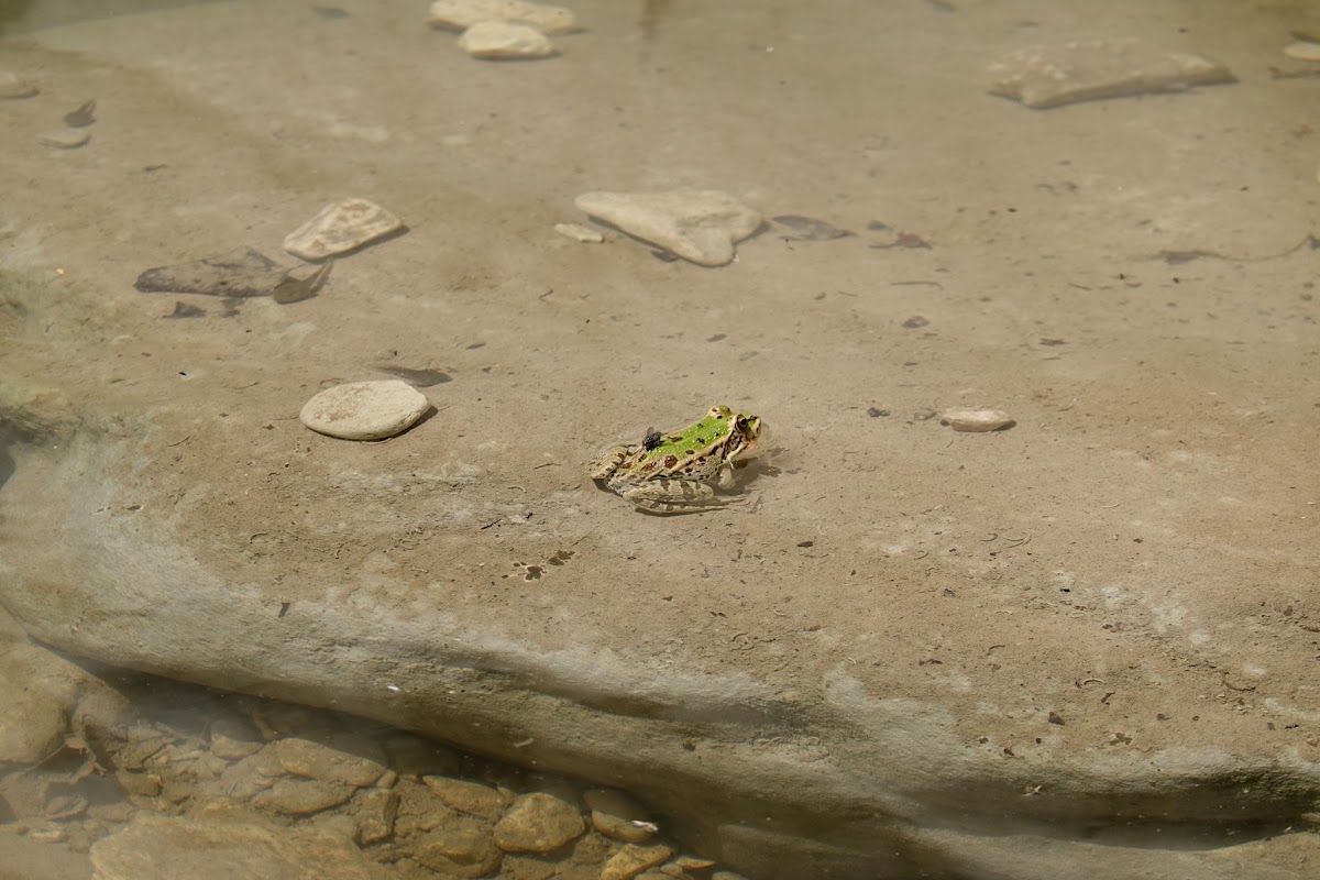 notre tour de la botte italienne 97