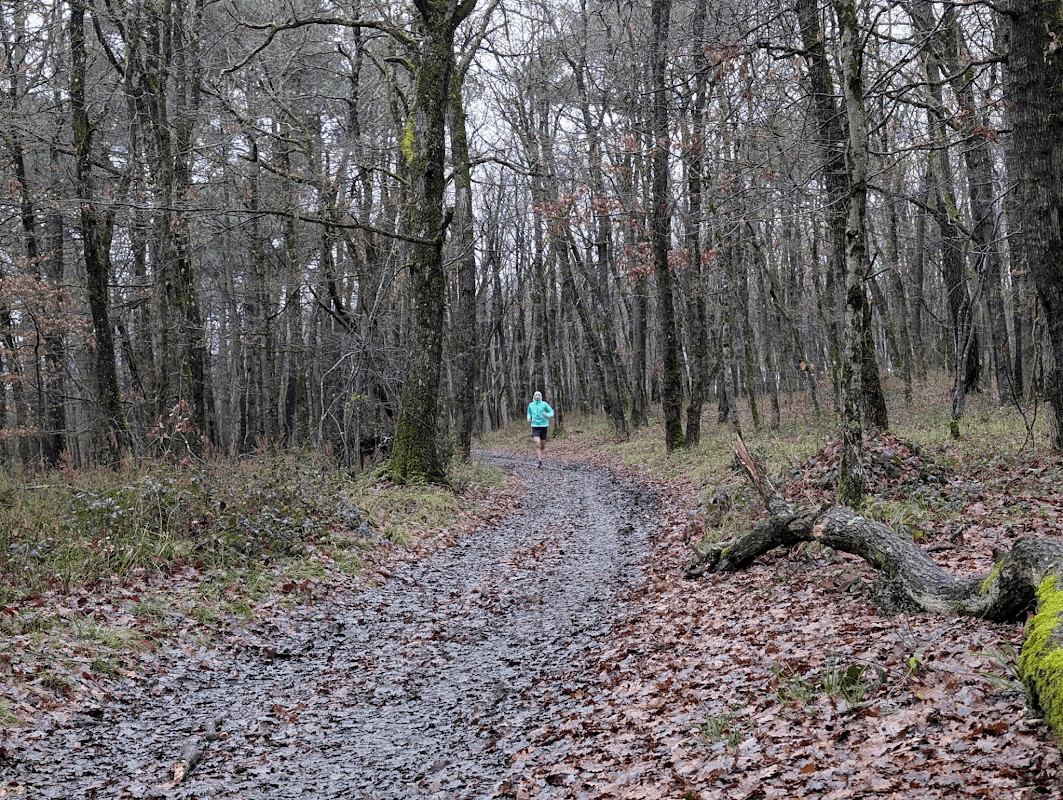 mon annee sportive 2025 3