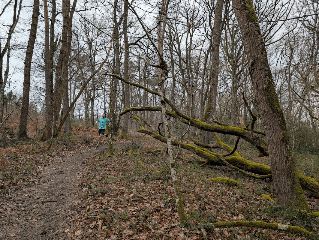 mon annee sportive 2025 25