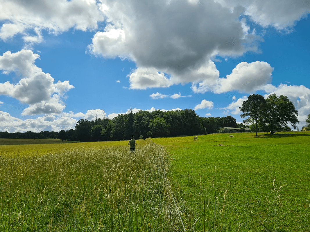 mon annee sportive 2022 34