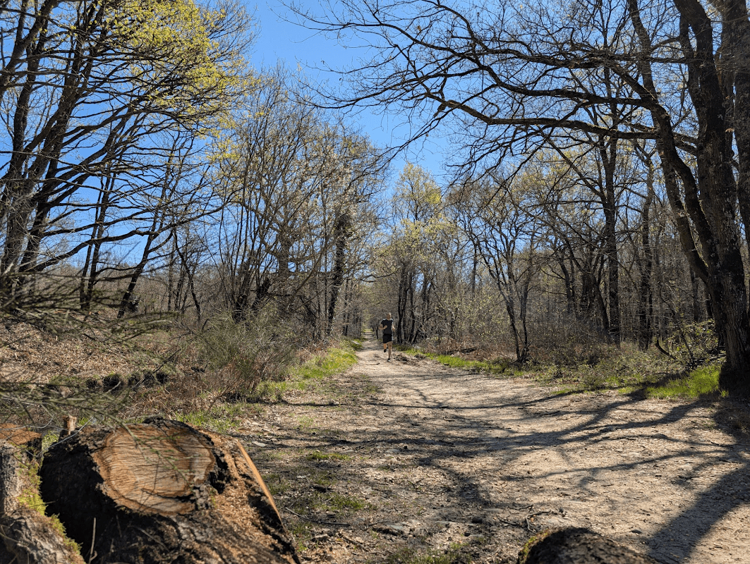 mon annee sportive 2025 31