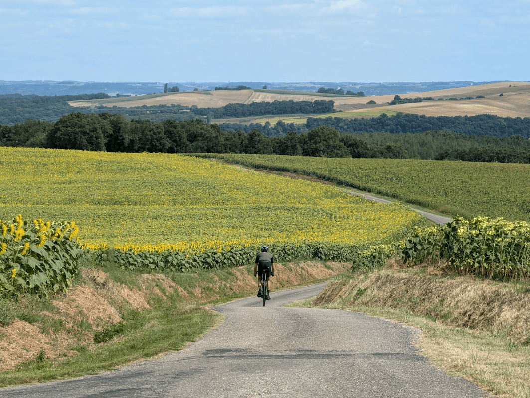 mon annee sportive 2024 99