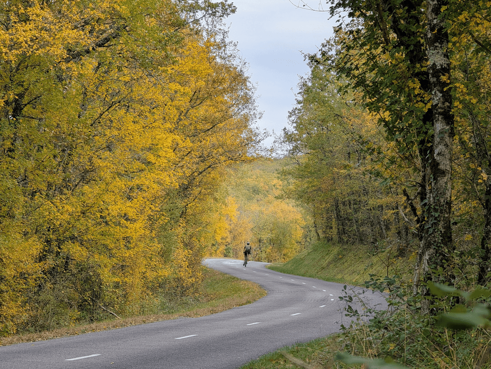 Mon année sportive 2025
