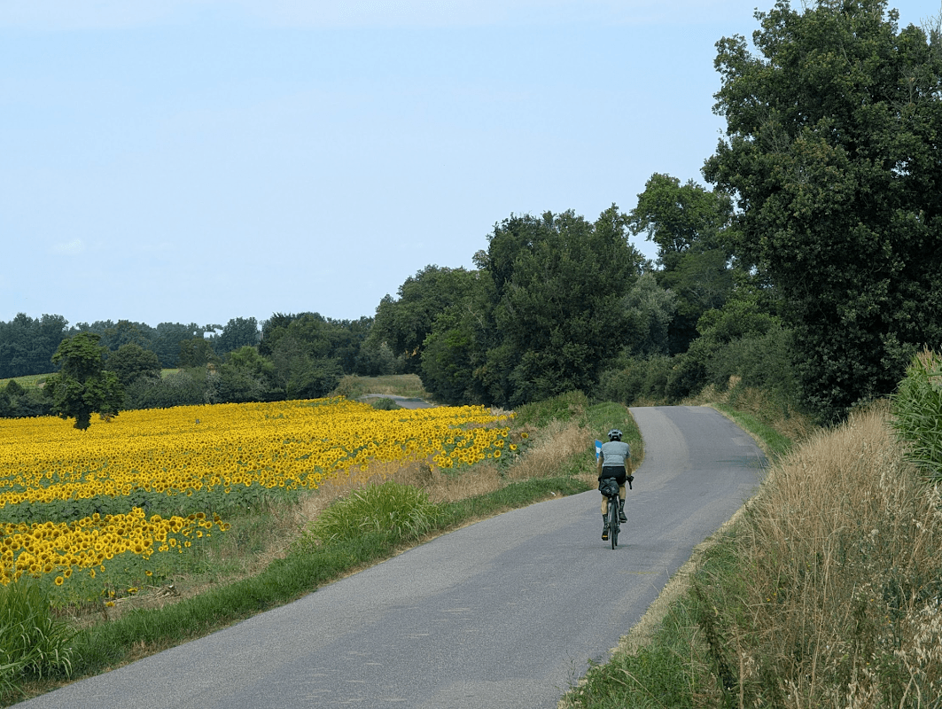 mon annee sportive 2025 60