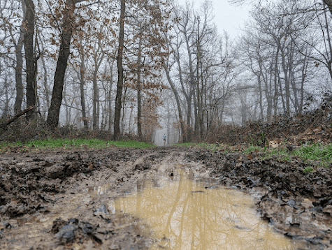 mon annee sportive 2024 25