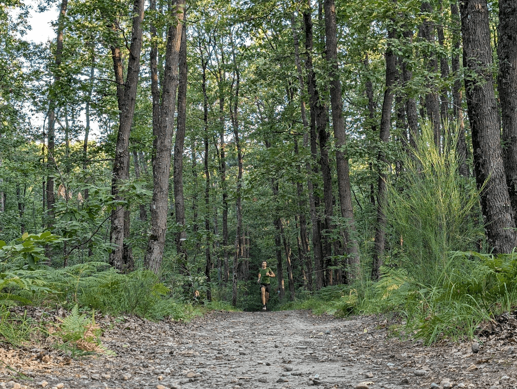 mon annee sportive 2024 93