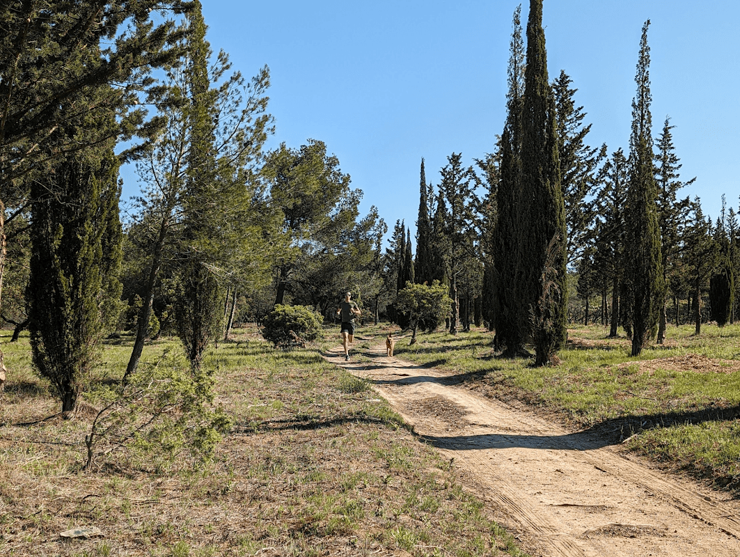 mon annee sportive 2024 62